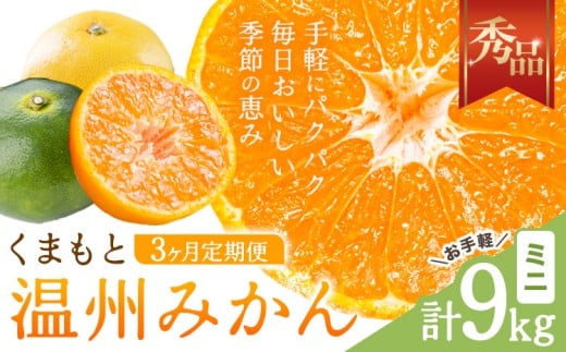 【3ヶ月定期便】みかん 定期便 秀品 温州みかん ミニ 計9kg 日本フルーツ株式会社《10月上旬-12月末頃出荷》熊本県 長洲町 ミカン 蜜柑 柑橘類 極早生 早生 中生 果物 フルーツ