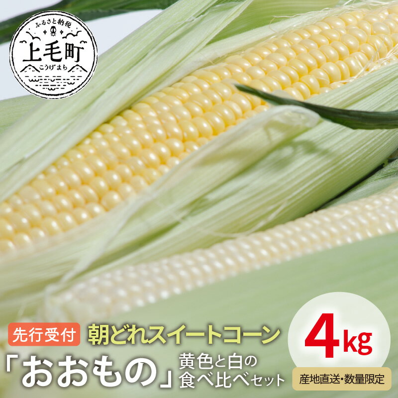【ふるさと納税】先行受付 朝どれスイートコーン「おおもの」黄色と白の食べ比べセット4kg【産地直送・数量限定】 スイートコーン コーン とうもろこし YF0604