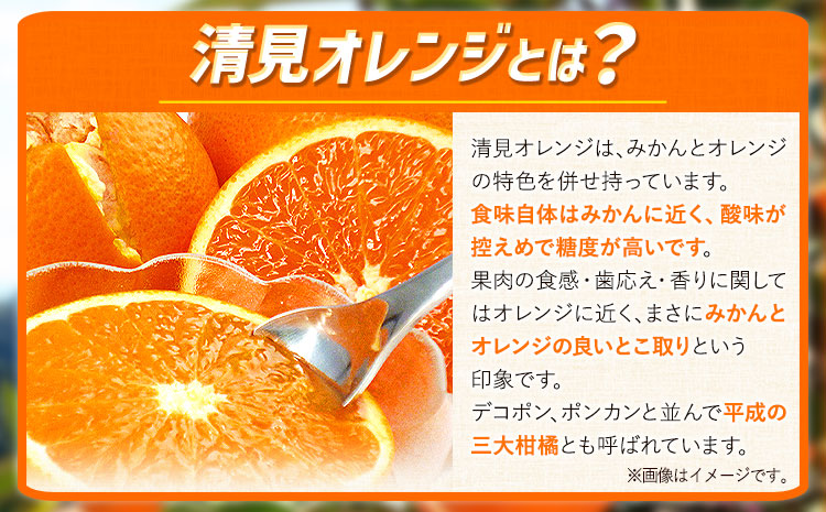 ＜先行予約＞【家庭用訳アリ】紀州有田産清見オレンジ約7.5kg株式会社魚鶴商店《2027年3月下旬-4月下旬頃出荷》和歌山県オレンジ柑橘ご家庭用---wsh_uot243_3g4g_26_16000_