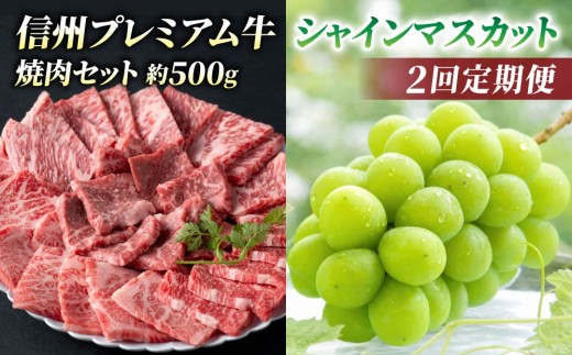 
                  【2回定期便】信州プレミアム牛肉（焼肉用500g）・シャインマスカット2房｜【小田切牧場／JA信州うえだ】ぶどう 葡萄 大粒 果物 フルーツ 和牛 頒布会 長野
                