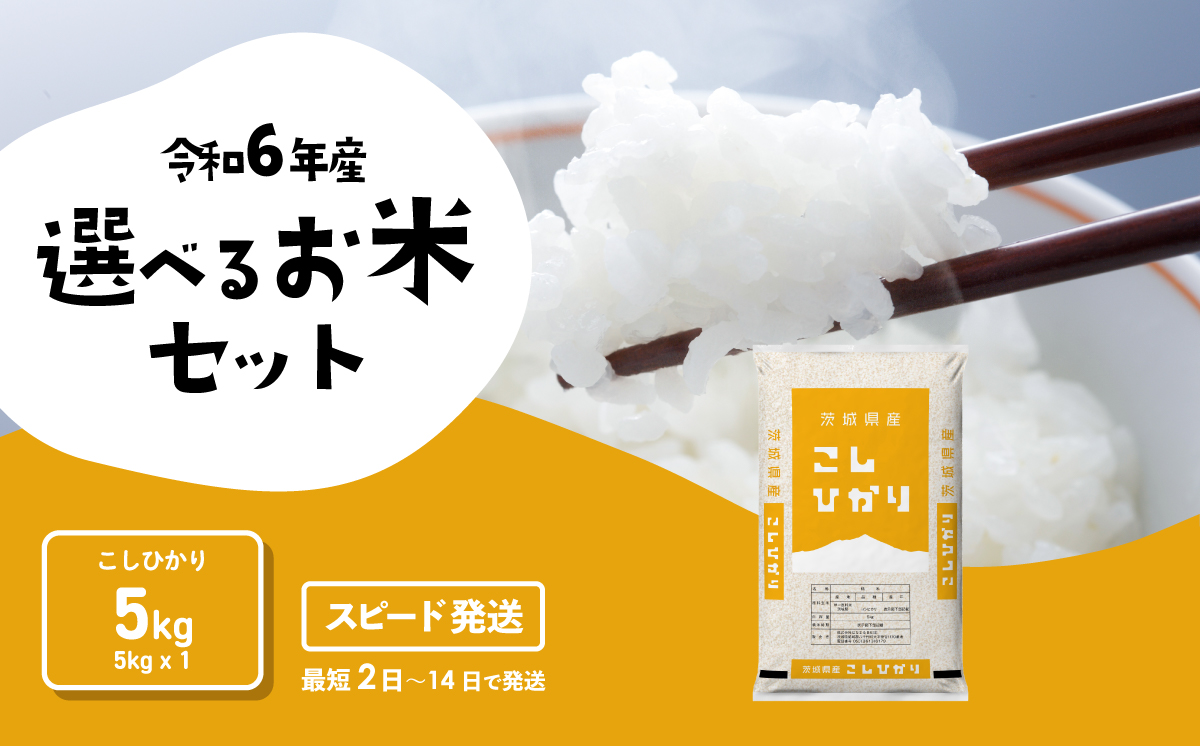 令和6年産 コシヒカリ 5kg [スピード発送] 米 お米 白米 精米
