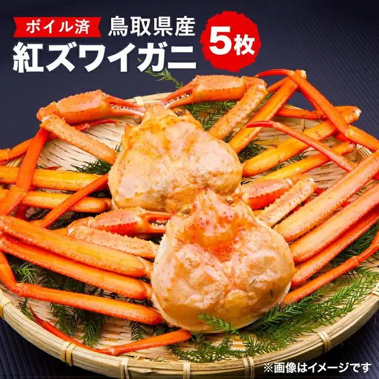  鳥取県産 ボイル 紅 ズワイガニ 5枚セット | カニ ズワイガニ 美味しさに 訳あり 大容量※着日指定不可※離島への配送不可※2027年2月上旬～4月下旬頃に順次発送予定