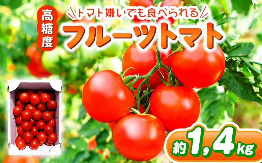 
                  フルーツトマト 約1.4㎏ | 野菜 トマト とまと 中玉トマト 大容量 とまと 鈴木農園　鈴木メロン園 千葉 君津 きみつ
                