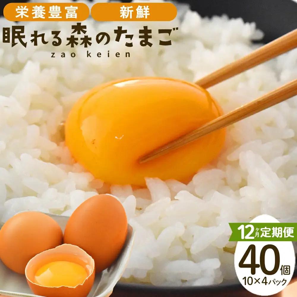 【12か月連続お届け】眠れる森のたまご 朝採れ卵40個　たまご タマゴ 卵 鶏卵 濃厚 こだわり 新鮮 定期便　【04301-0799】