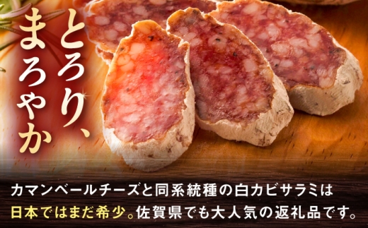 【10月発送】粉雪サラミ 7本 / シャルキュトリ ドライソーセージ 白かび つまみ 家飲み オードブル パーティー salami さらみ サラミ / 佐賀県 / 有限会社ふるさと倶楽部 [41ABC