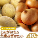 【ふるさと納税】じゃがいも（インカのめざめ）とたまねぎのセット 合計約10kg 野菜 《10月中旬から順次出荷》橋枝物産 北海道 浦幌町