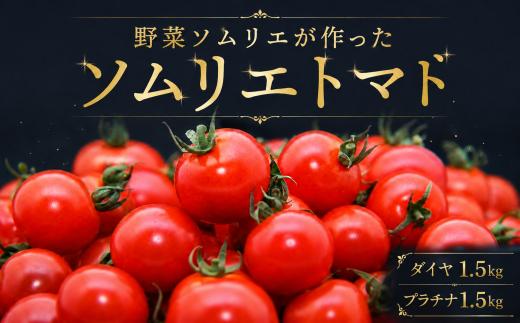 【特別栽培農産物】ソムリエミニトマト 食べ比べ3kg ( プラチナ + ダイヤ ) | 野菜 やさい トマト とまと ミニトマト 野菜ソムリエ 食べ比べ セット 熊本県 玉名市