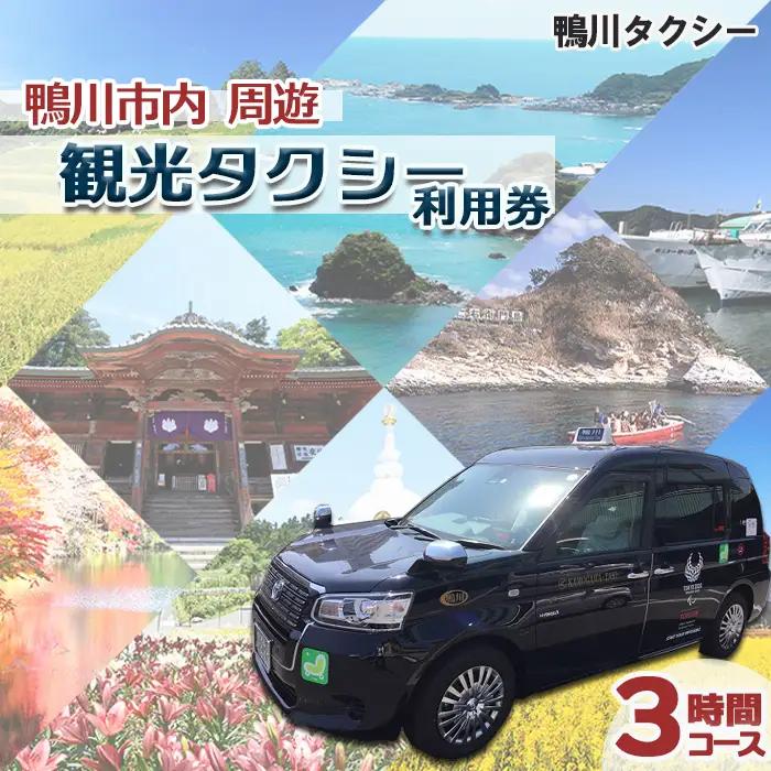 【千葉県鴨川市】観光タクシー貸切利用券 ３時間（定員４名／１台）　[0081-0001]