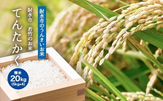 
            【R7年度産米 新米予約】[人気のブランド米]てんたかく 「若竹のお米 」　20kg（5kg×4）【精米】｜米 新米 先行予約 令和7年産米 ブランド米 銘柄米 こめ 白米 先行予約 送料無料 富山県 射水市
          