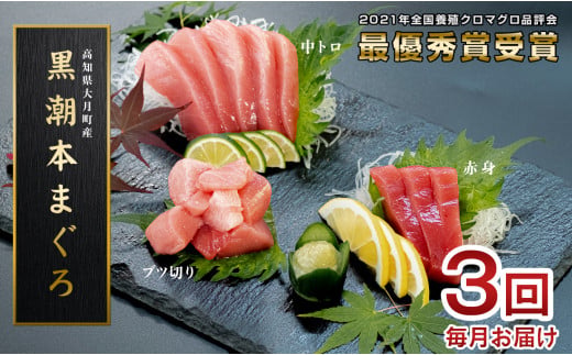 訳あり 不定貫 定期便 3回 国産 養殖本マグロ 中トロ・赤身・ブツ切り 3種 毎回300〜600g 月替わり×3回 黒潮本まぐろ 全国養殖クロマグロ品評会 最優秀賞受賞 3ヶ月 3か月 柵 刺身用 本マグロ クロマグロ 本鮪 まぐろ 鮪 お刺身 さしみ 中トロ トロ 赤身 ブツ切り ぶつ切り ネギトロ たたき ユッケ 海鮮丼 漬け丼 手巻き寿司 鉄火丼 まぐろ丼 小分け 個包装 冷凍 4万円