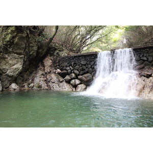 ≪貝塚市/アスレチック≫ 一日体験チケット(大人)＼＼関西随一の広大な敷地／／大自然の澄んだ空気の中で身体をリフレッシュ！！