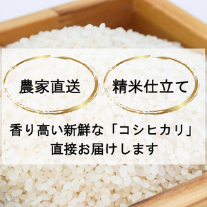【先行予約10月中旬より順次出荷】令和7年 新潟県産 新之助 5kg 上越市清里区 新潟 精米 従来品種 希少 限定