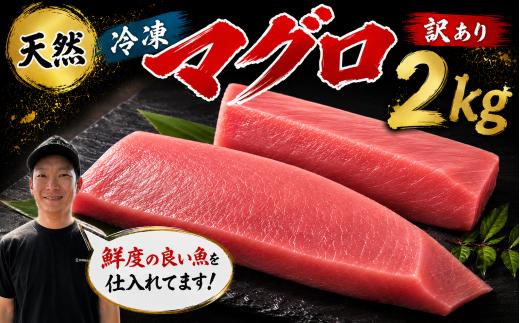 訳あり マグロ 天然 まぐろ 2kg マグロ刺身 マグロ たたき マグロ丼 鮪 マグロ漬け丼の具 冷凍 鮪 ネギトロ丼 マグロ まぐろ ブロック 赤身 天然 スライス刺し身 さしみ 魚介 海鮮 海鮮丼 おかず 惣菜 訳あり 冷凍 規格外 お取り寄せ 冷凍 高知県 安芸市 おいしい 簡単 時短 海の幸 生鮮