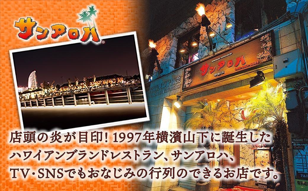 サンアロハ「ハマカレー　ビーフ　230g×4個パック」