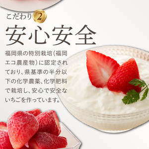 旬のおいしさそのまま！池田農園の特殊冷凍よつぼし1.5kg_いちご 特殊冷凍 よつぼし 1.5kg 750g × 2 旬 美味しい 完熟 甘い 濃厚 アートロックフリーザー サクサク 食感 栄養 池田