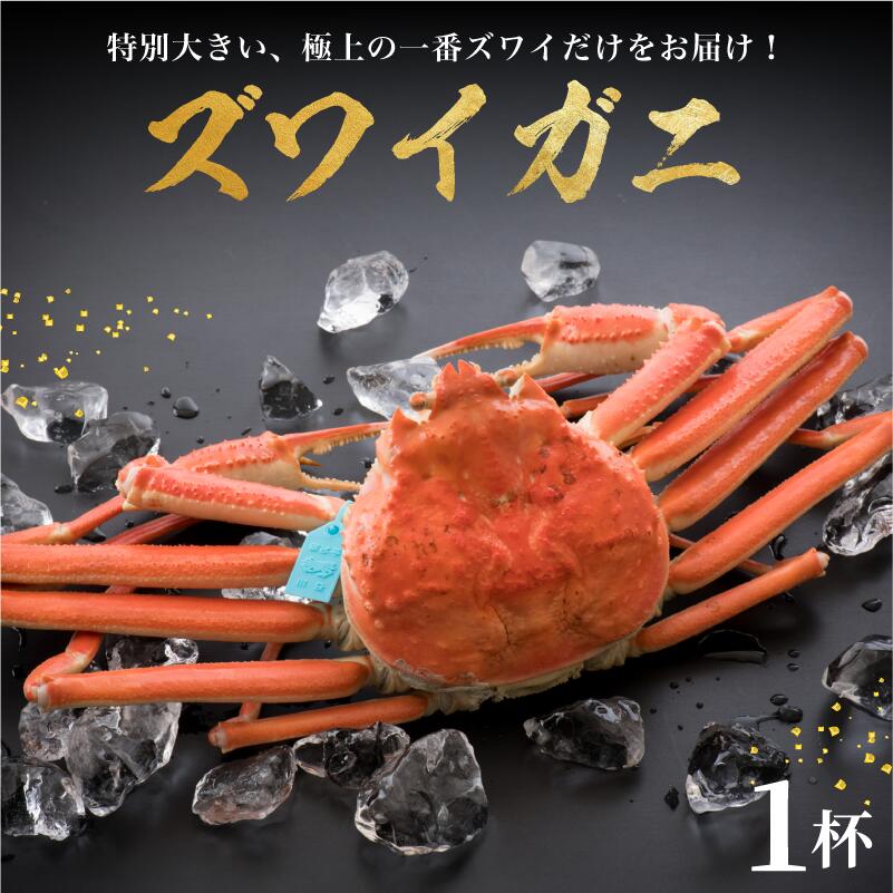【ふるさと納税】 【 味覚の王様 加能ガニ ・ 姫丸 の 一番 ズワイガニ 】 11 - 12月 配送 1 - 3月 配送 1番ズワイ 茹で上げ後 約 1.0kg × 1杯 2杯 3杯