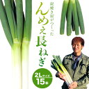 【ふるさと納税】【2025年先行受付分】炭焼き屋がつくった んめぇ 長ねぎ 15本 2Lサイズ 七戸宏大《2025年9月中旬-12月上旬頃出荷》岩手県 九戸村 野菜 やさい ねぎ ネギ 葱 送料無料