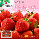 【ふるさと納税】つる付き とちあいか 4パック（3～5月発送） いちご 果物 フルーツ 苺 イチゴ くだもの 朝取り 新鮮 美味しい 甘い　お届け：2025年3月1日～5月10日まで