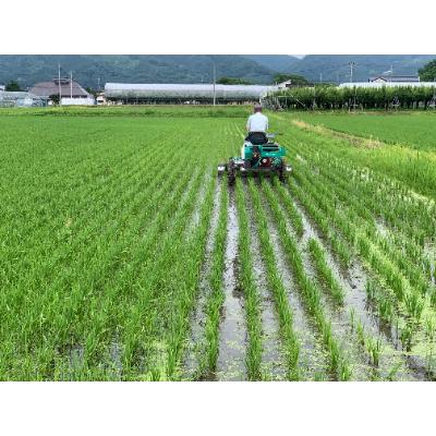 ふるさと納税 南陽市 山形つや姫玄米パックご飯　150g×12P　〜栽培期間中　農薬・化学肥料不使用〜【S1224】 |  | 01