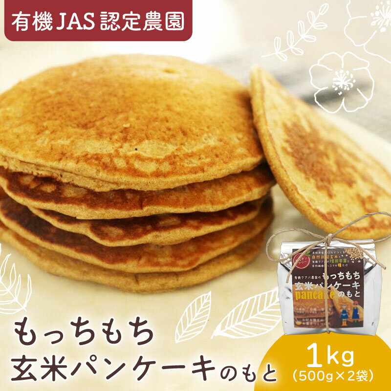 【ふるさと納税】 有機 グアバ 農園 もっちもち 玄米 パンケーキ もと 500g 2袋 げんまい 玄米 粉 米粉 素 パン ケーキ ぱん ミックス粉 グアバ グァバ グルテンフリー お好み焼き おかし 高知県 南国市