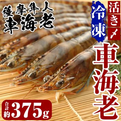 ふるさと納税 霧島市 活き〆冷凍車海老「薩摩隼人車海老」約125g(4〜6尾入)×3パック【MBC開発】　B-014