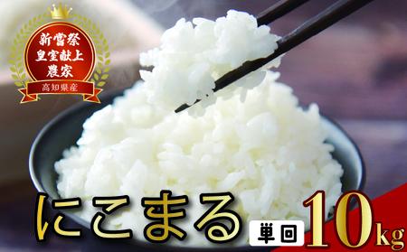 【令和7年産】 米 10kg にこまる 米 AS012