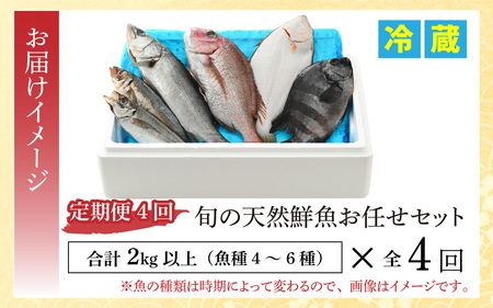 【定期便】全4回(3ヶ月毎発送)【加福鮮魚】「若狭小浜港産地直送」旬の天然鮮魚お任せセット！地魚 下処理済み 刺身 煮魚 焼き魚