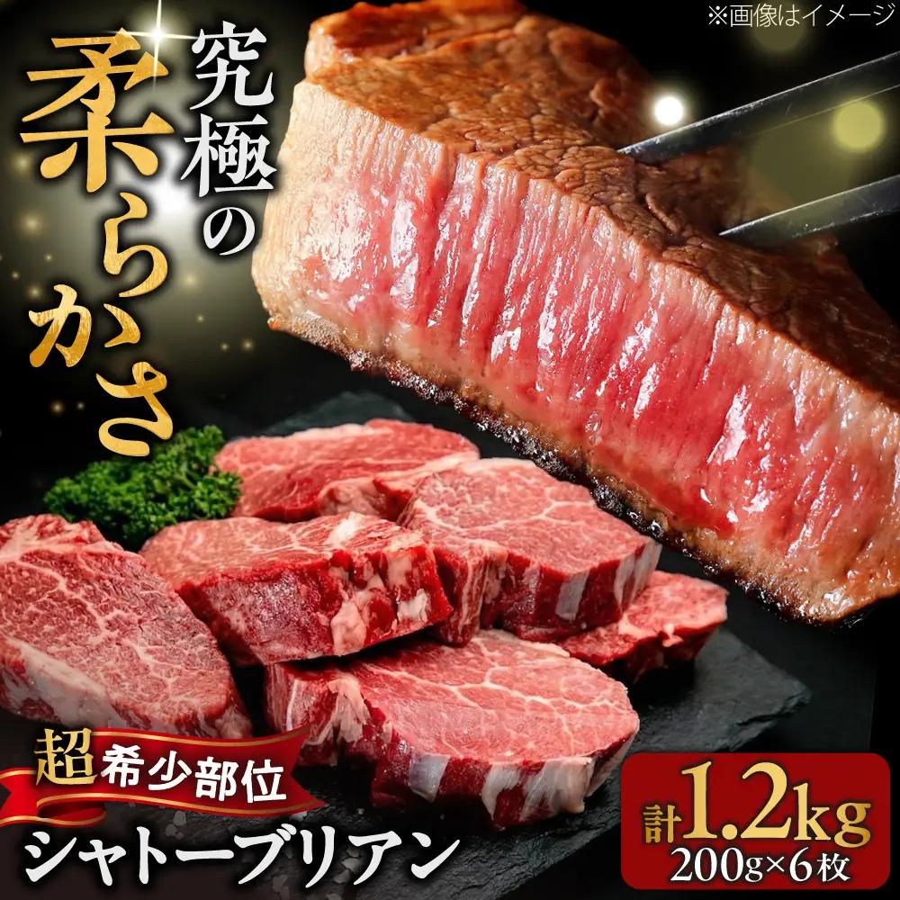 博多和牛 シャトーブリアン 200g×6枚 （計1.2kg）[BGBY046] シャトーブリアン ステーキ