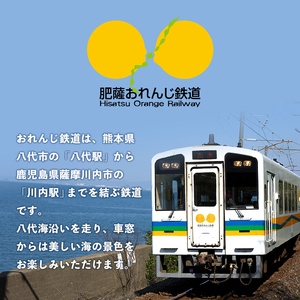 i1133 おれんじ1日フリー切符 (１名様分) 鹿児島県 出水市 肥薩おれんじ鉄道 鉄道 電車 切符 フリー切符 1日乗車券 チケット 【肥薩おれんじ鉄道株式会社】