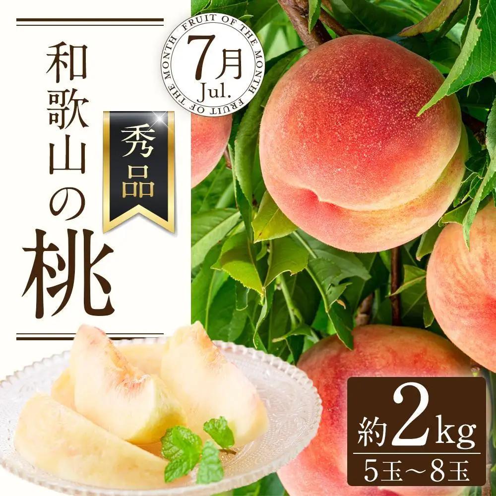 定期便全3回 和歌山の人気の夏のフルーツをお届け！ ［TM204］