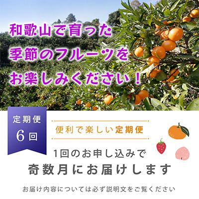 ふるさと納税 九度山町 【発送月固定定期便】フルーツ定期便A【フルーツ定期便】【和歌山県有田】全6回 |  | 01