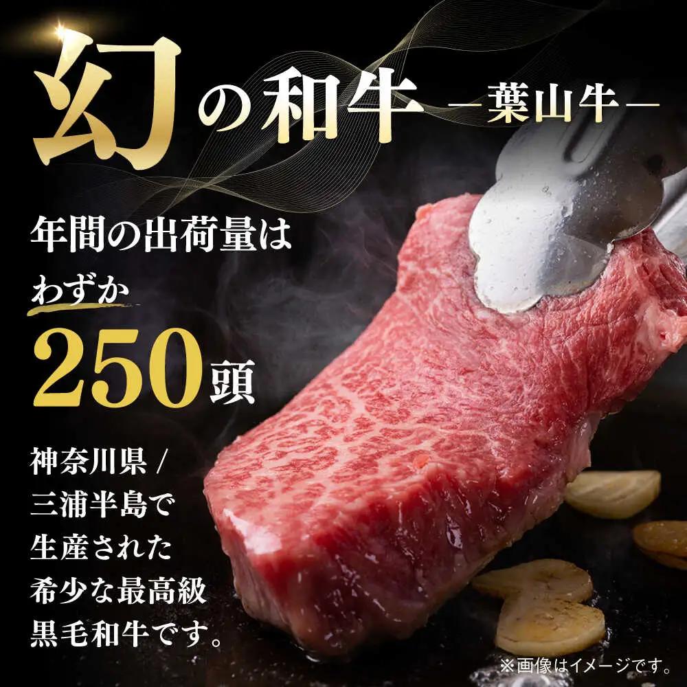 【隔月定期便全3回】葉山牛 まんぷく定期便 牛肉(スライス盛合せ・焼肉用ミックス・サーロインステーキ) 食べ比べ[ASBD060]