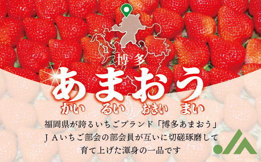 AT-001_博多あまおう2パック(冬)『12～1月発送』