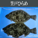 【ふるさと納税】No.003 笠戸ひらめ ／ ヒラメ 瀬戸内 新鮮 フォトブック 送料無料 山口県