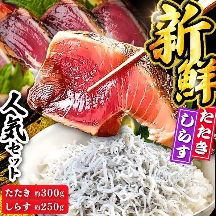 【最速発送】龍馬セット (龍馬鰹たたき約300g 龍馬しらす約250g) 【株式会社　七和】 [ATAX012]　スピード 最短 最速 発送