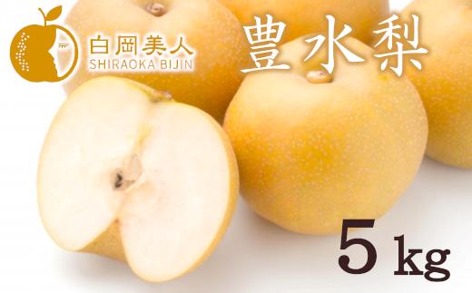 
                  梨 白岡の梨「白岡美人」豊水梨約5kg（12玉～14玉） | 豊水 なし ナシ 豊水梨 白岡の梨 白岡美人 埼玉県 白岡市
                