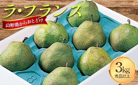 【先行受付 令和8年度発送】 山形県産 ラ・フランス 3kg FSY-2720