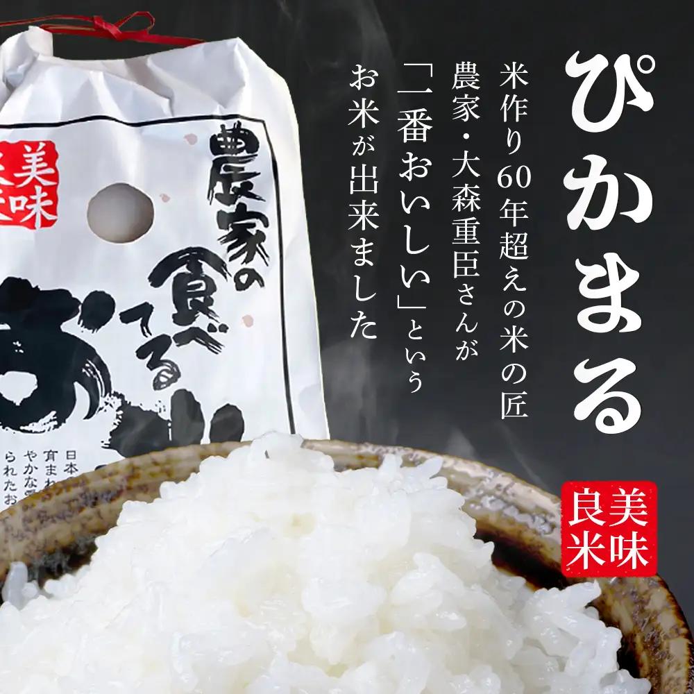 【令和8年産 新米 予約】多良木町産 ぴかまる 10kg(5kg×2) 10月下旬～順次発送 熊本 065-0641