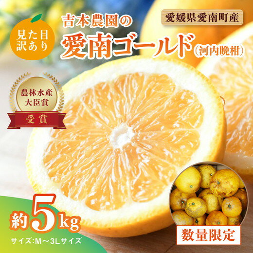 【ふるさと納税】【先行予約】見た目だけが訳あり！吉本農園の木取り完熟愛南ゴールド（河内晩柑）約5kg＜柑橘 希少 果物 国産 フルーツ みかん 蜜柑 訳あり 家庭用 和製 グレープフルーツ ブランド 果実 愛媛県 鬼北町 ＞ ※2025年4月上旬～8月上旬頃に順次発送予定
