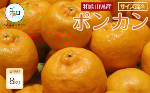 訳あり 森本農園の手選別 ポンカン 8kg 和歌山県産 サイズ混合 ［北海道・沖縄・離島配送不可］［RN15］［2026年1月上旬から順次発送］
