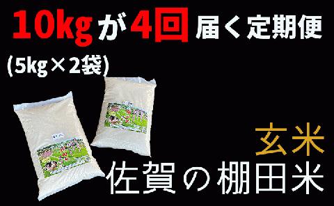 ｐ－６ 棚田米  （ 令和５年産 ） 定期便 玄米 夢しずく 10kg×4回 【 ひらの棚田米 】