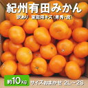 【ふるさと納税】 紀州 有田みかん 10kg 訳あり 家庭用 キズ (青秀・良) サイズおまかせ 2L〜2S ※11月下旬〜1月中旬頃に順次発送予定 ※着日指定不可