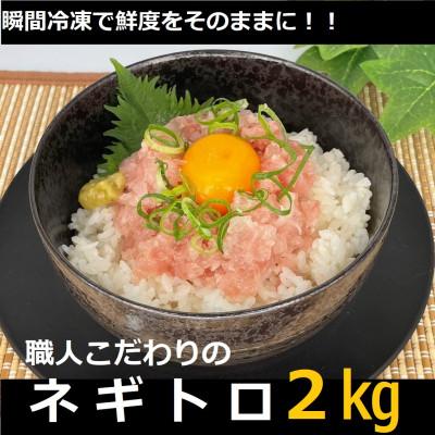 ふるさと納税 須崎市 手作りネギトロ　2kg