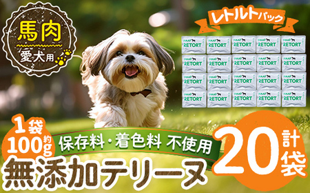 a1087-F ＜保存料・着色料 不使用＞愛犬用無添加テリーヌ レトルトパック 馬テリーヌ20袋(1袋約100g・合計約2kg)【Nフードサービス】姶良市 馬 テリーヌ 犬 ドッグ ペット フード エサ レトルト おやつ ごはん ご飯 間食 ご褒美