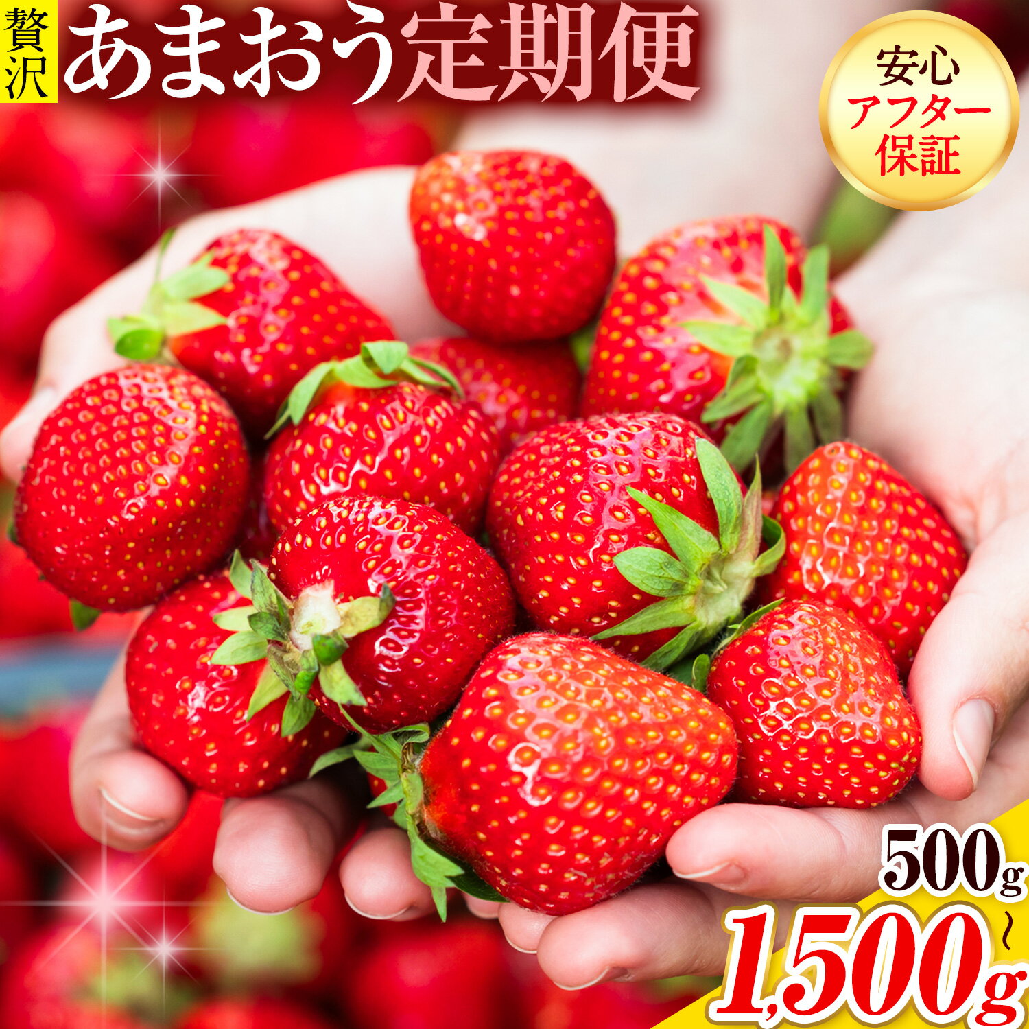 【ふるさと納税】【2ヶ月定期便】いちご あまおう 先行予約 いちご大量 500g 1000g 1500g ふるさと納税 フルーツ 苺 旬 訳あり 数量限定 ふるさと納税 不揃い 傷 4月 規格外 規格外果物 くだもの 果物 【着日指定不可】《2027年3月・4月頃出荷》【配送不可地域：離島】
