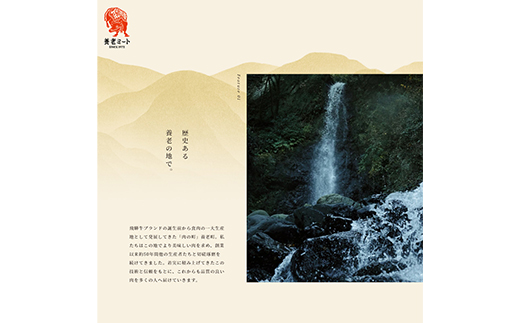 飛騨牛 サーロインブロック 5kg【配送不可地域：離島】【1622929】