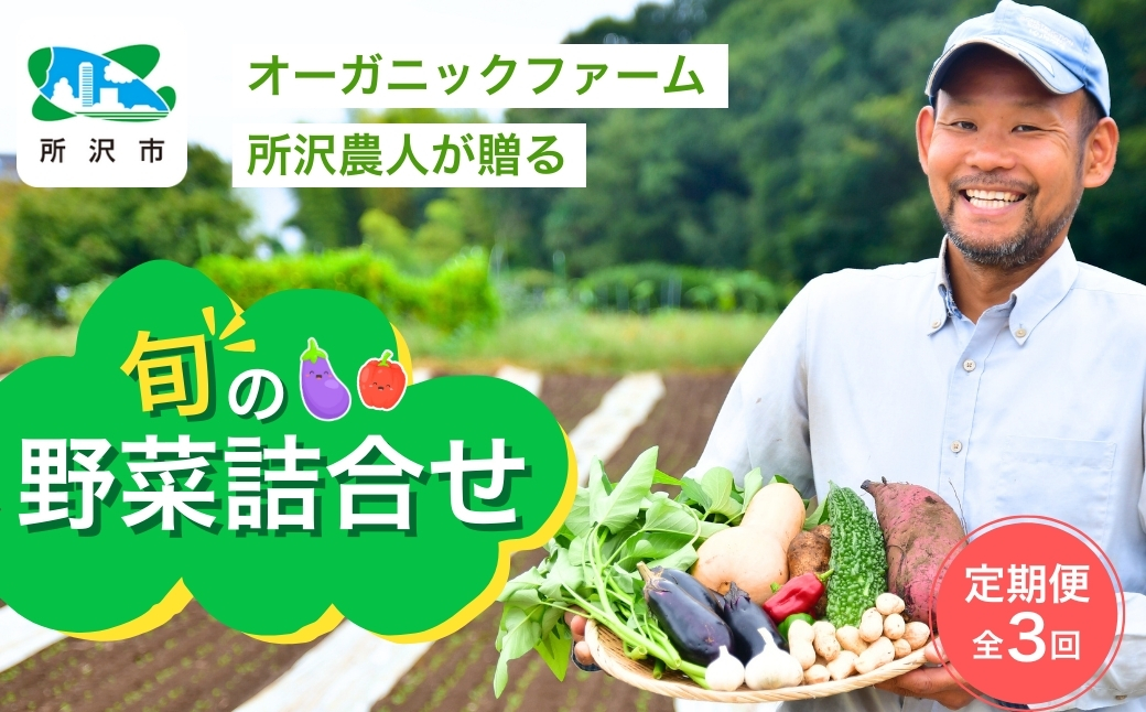 ＜3ヵ月定期便＞オーガニックファーム所沢農人の旬の野菜詰め合わせ(7～8種) | 埼玉県 所沢市 野菜 野菜詰合せ 野菜セット 詰め合わせ 詰合せ セット おいしい おすすめ プレゼント ギフト お取り寄せ