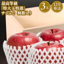 【ふるさと納税】青森県産 最高等級「特大玉特選」サンふじ 3玉 桐箱入【青森県 平川市 那由多のりんご園】12月発送 青森 青森県産 平川 りんご リンゴ 林檎 くだもの 果物 ふじ 詰め合わせ フルーツ レビューキャンペーン