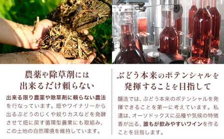 赤ワイン 飛鳥 スパークリング ヴィニフェラ 750ml 