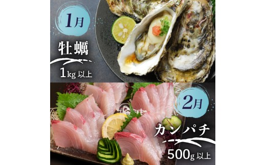 【須崎 の 鮮魚 定期便 】旬 の 刺身 定期便 12回 コース 野島水産 が お届け！ | 下処理済み かつお かつおのたたき 藁焼き タタキ 鯛 真鯛 マグロ 牡蠣 しらす 伊勢海老 セット 高知